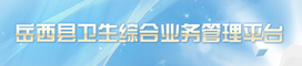 岳西县卫生综合业务管理平台