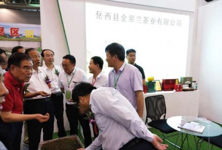 岳西翠兰组团参加省第十二届茶博会